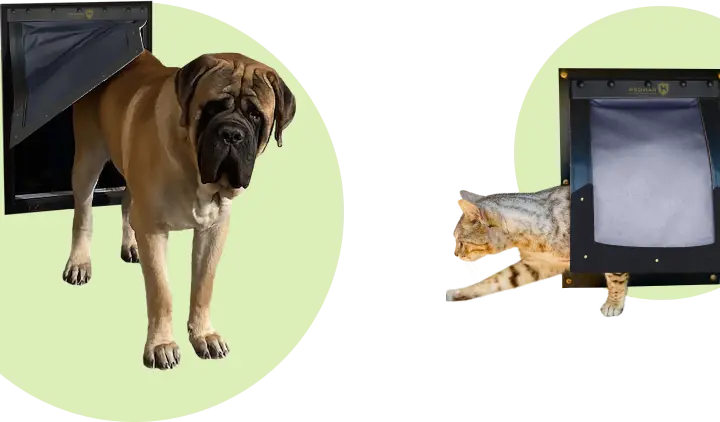 Dog and cat using RANGER pet doors, isolated, optimized for mobile