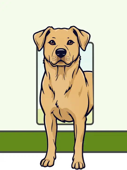 Illustration of dog door