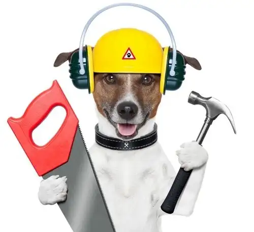 Jack Russell terrier with hard hat, saw, and hammer