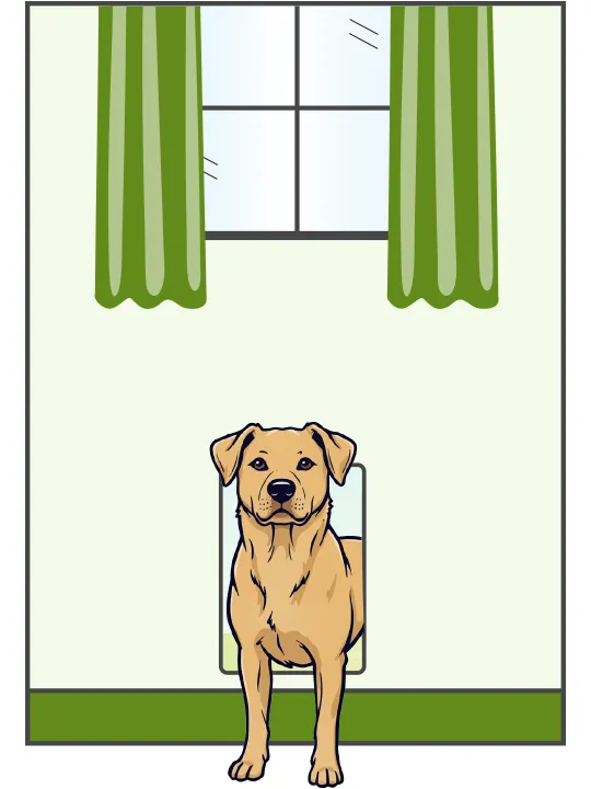Illustration of dog using wall-mounted dog door