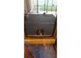 Cat peeking into RANGER cat door
