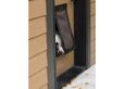 Dog poking head through pet flap