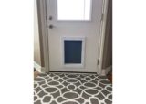 Pet door installed in human door