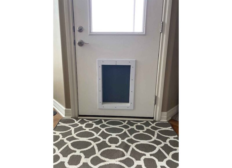 Gray_DM Pet door installed in human door