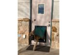 Large dog walking through pet door