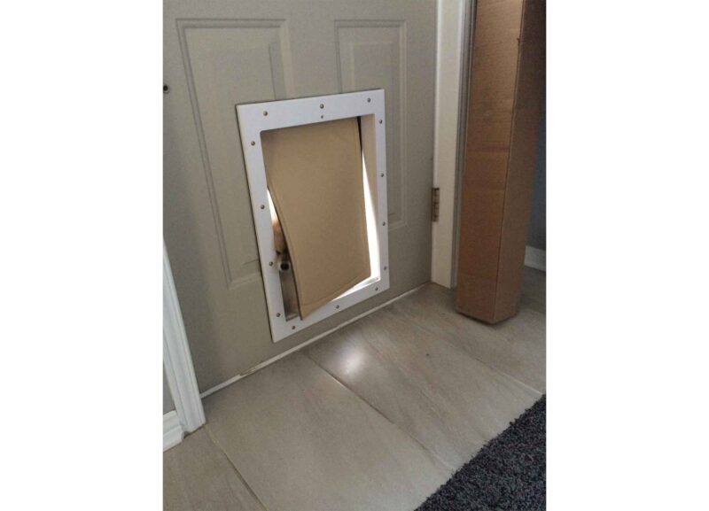 Pom_Enter Small dog pushing head through dog door